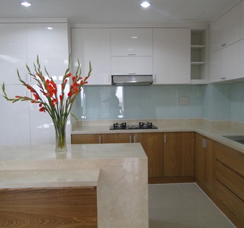 Apartments for rent Tan Phu