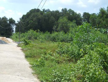 Land for sale Long Thanh province