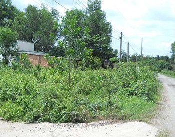 Lands for sale Long Thanh province