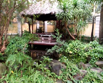 Rental luxurious villa
