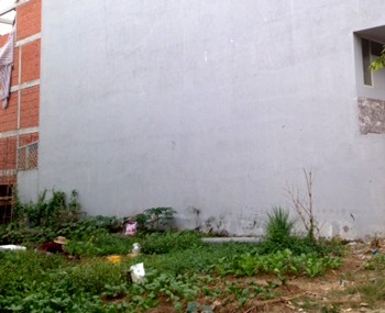 Buy land District 7