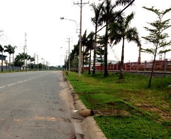 Rental factories Binh Tan