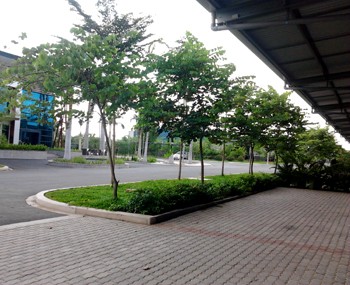 Rental factories Nha Be