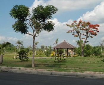 Rental warehouse build land