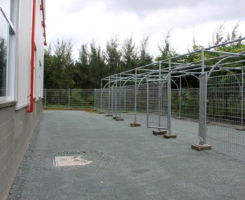 Rental factory Tan Binh