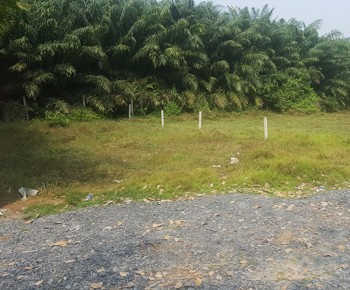 Land for sale Cu Chi district