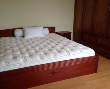 Apartment for rent Saigon Pearl