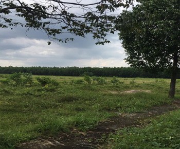 Land for sale to build factories