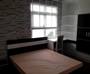 Rental apartments Phu My Hung