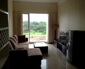 Rental apartments Phu My Hung