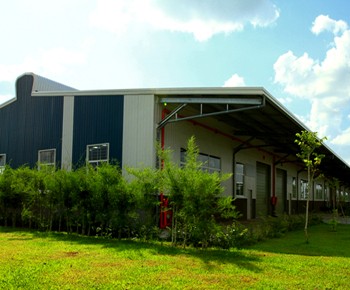Warehouse for rent Phuc Long industrial park