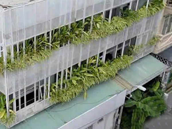 Rental shop Dang Tat