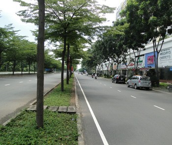 Rental showroom Phu My