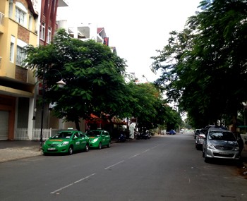 Rental showroom Tan My