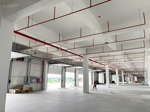 Warehouse for rent Ben Luc